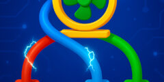 Tangle Master 3D